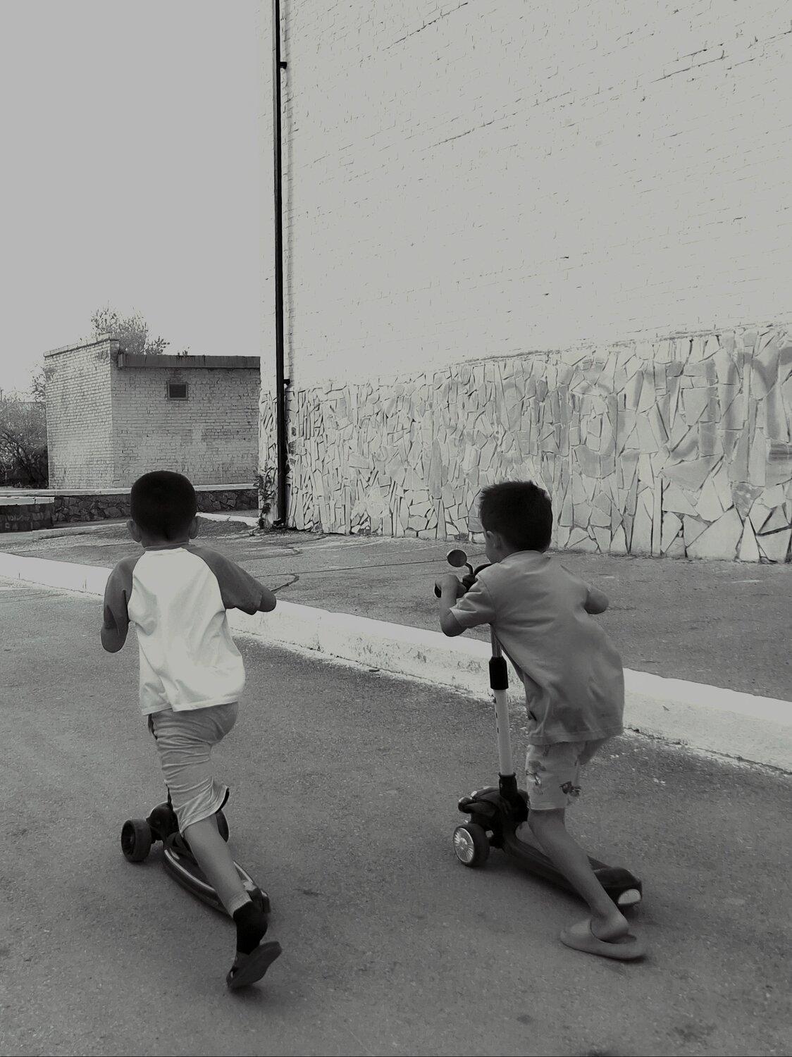 Photo #13222503