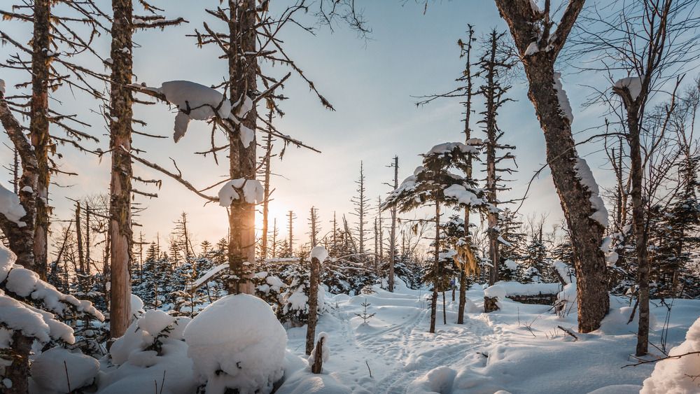 Фотография автора Дмитрий Колосов