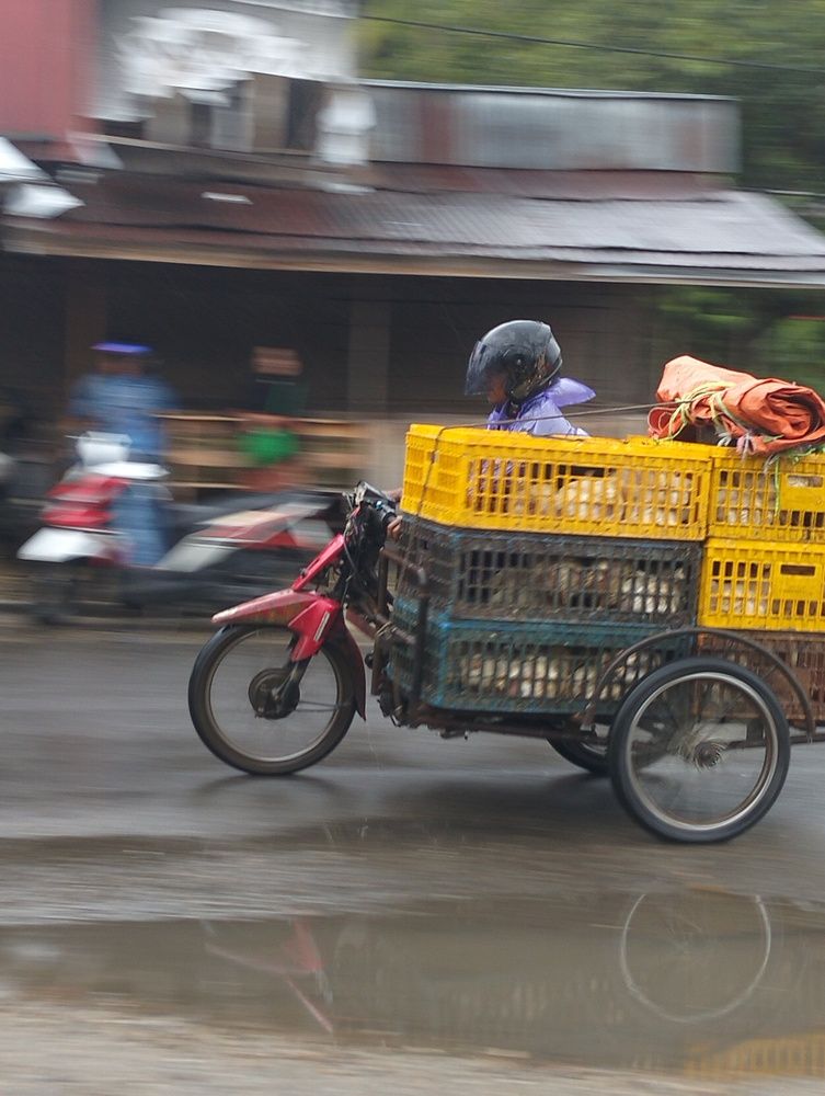 Фотография автора Adal Adams Adal