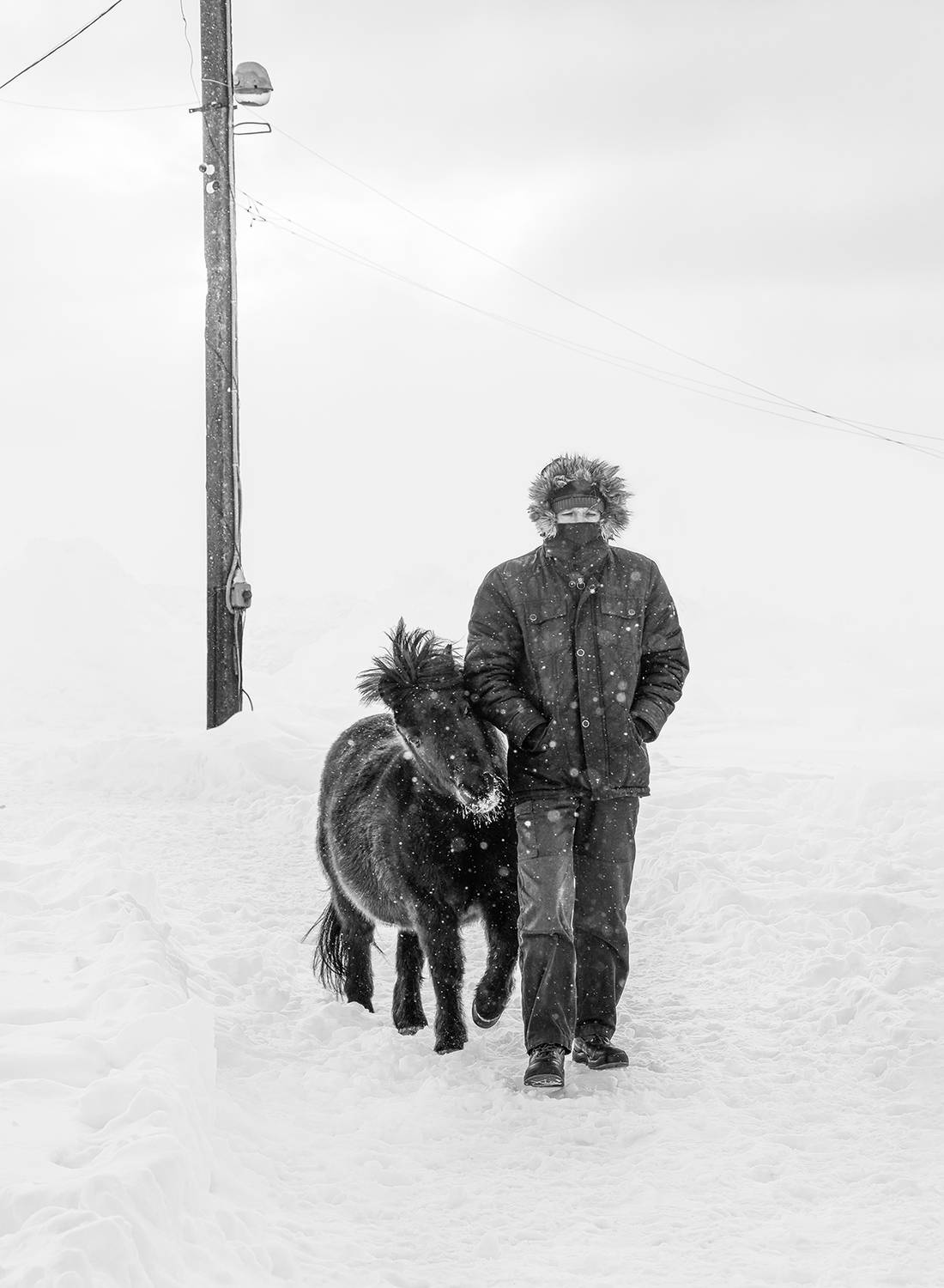 Photo #13222528