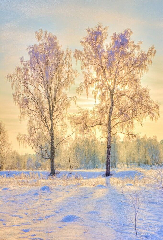 Photograph by Юрий Спасенников