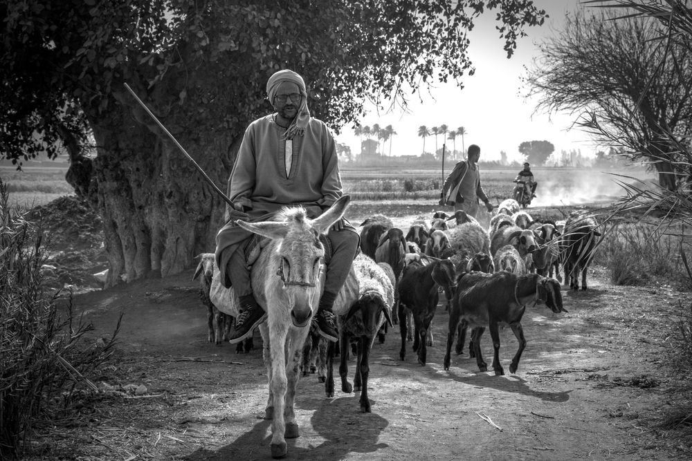 Фотография автора Muhammad Radi