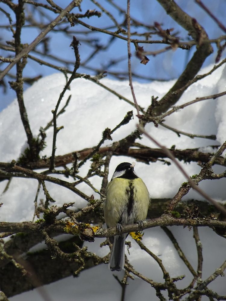 Photograph by Игорь Максимов