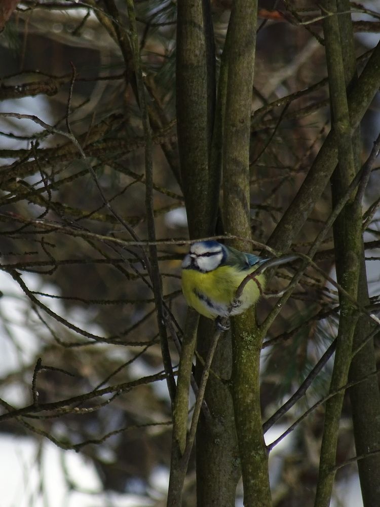 Photograph by Игорь Максимов