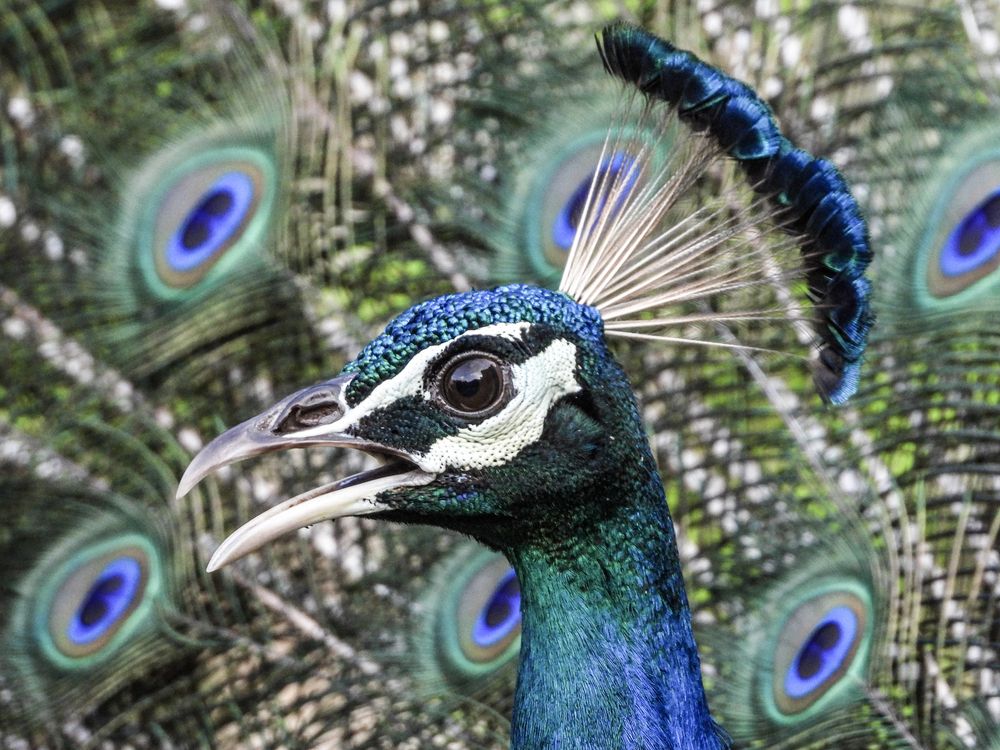 Photograph by Anuradha Agrawal