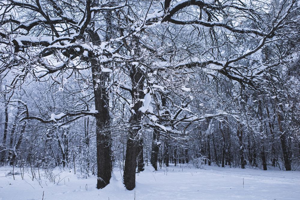 Photograph by Алла Никушкина