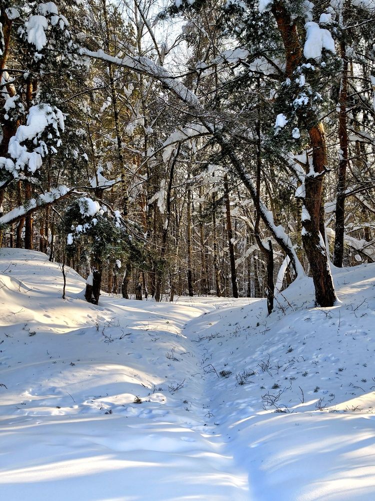 Photograph by Елена Артёменко