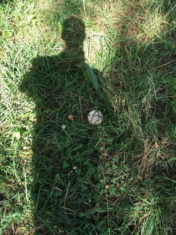 Photograph by Александр Л