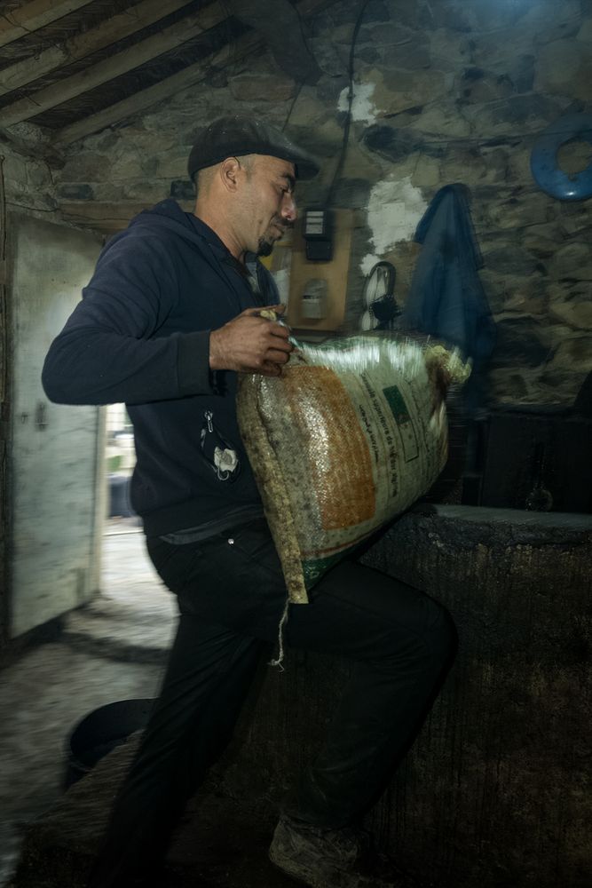 Фотография автора Nassim Mohamed