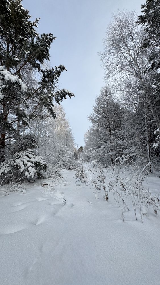 Photograph by Марина Мишутина