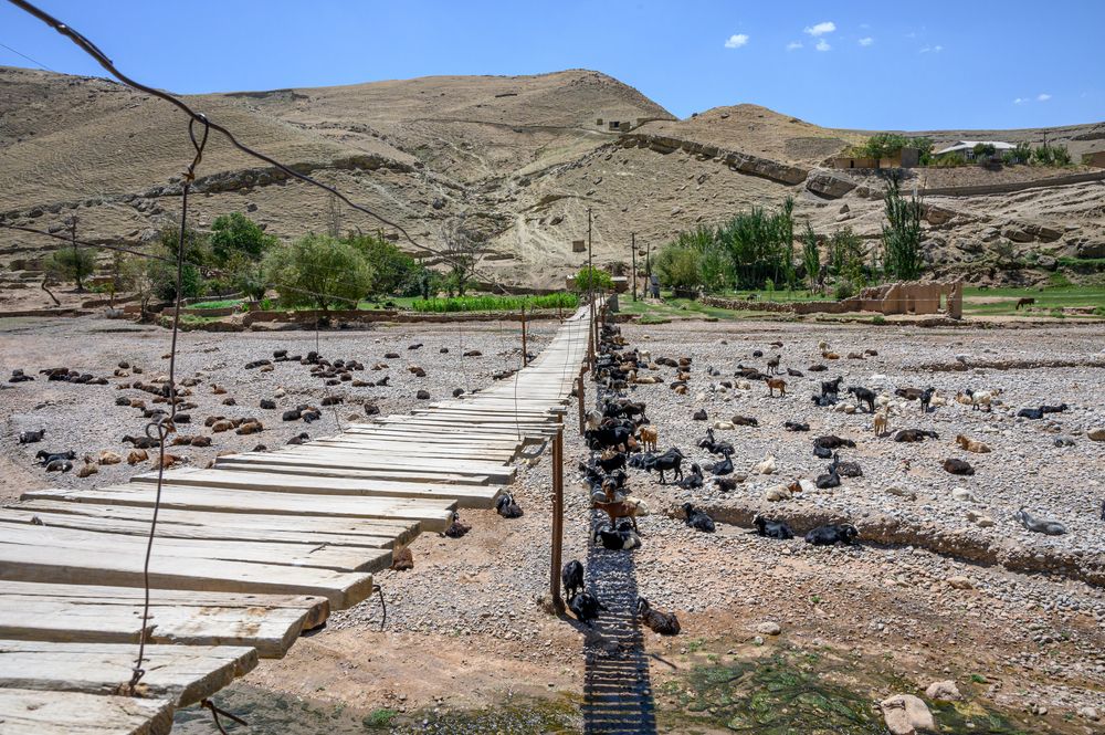 Фотография автора Борис Недосеков