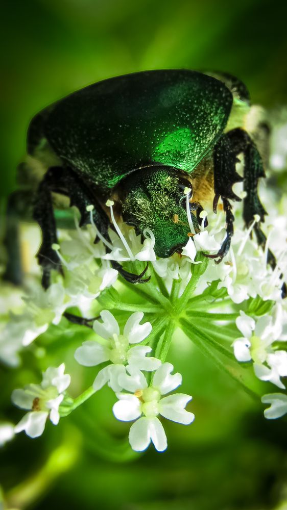 Photograph by Владимир Лавров