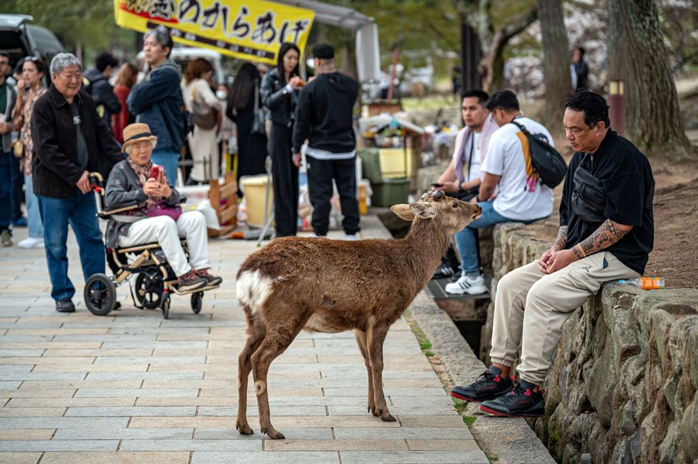 Photograph by Борис Недосеков