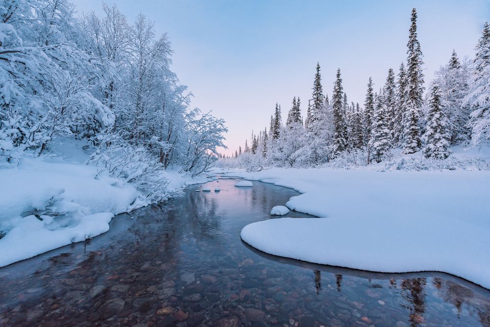 Фотография автора Саша Козырев