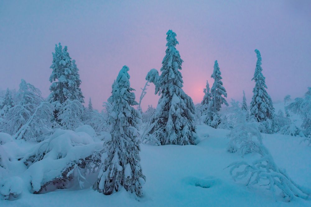 Фотография автора Саша Козырев
