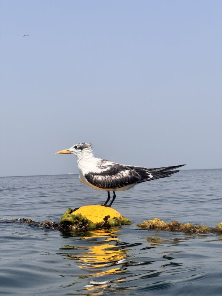 Photograph by Нина Пашина