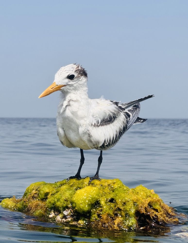 Photograph by Нина Пашина