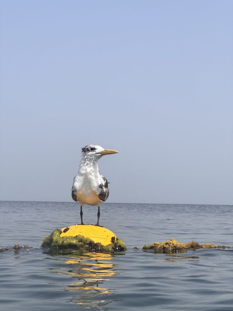 Photograph by Нина Пашина