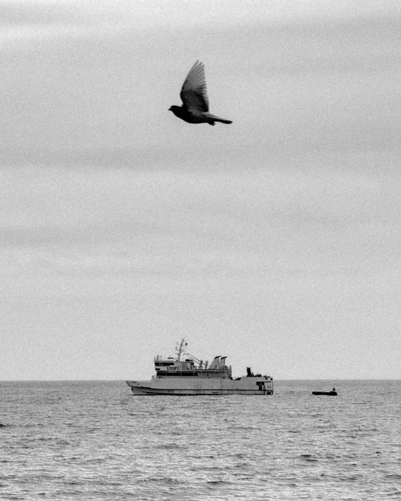 Photograph by Regina Gritsenko