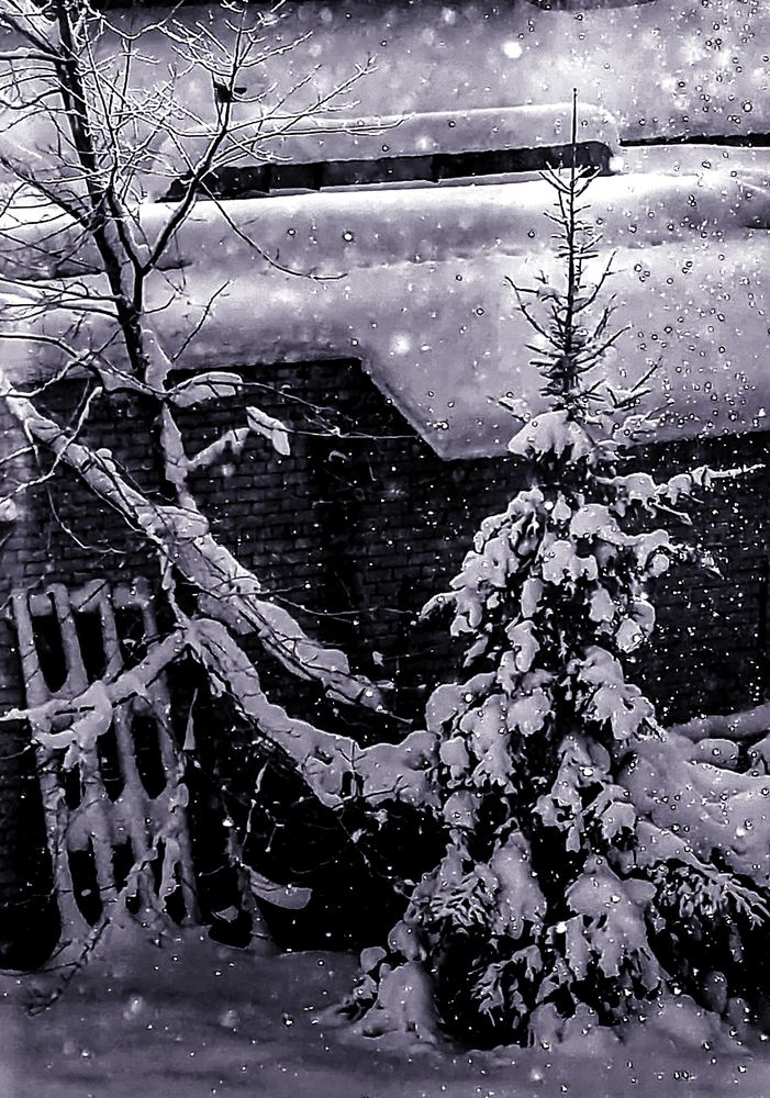 Photograph by Марина Соловьева