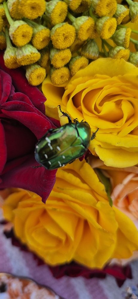 Photograph by Ольга Мусина