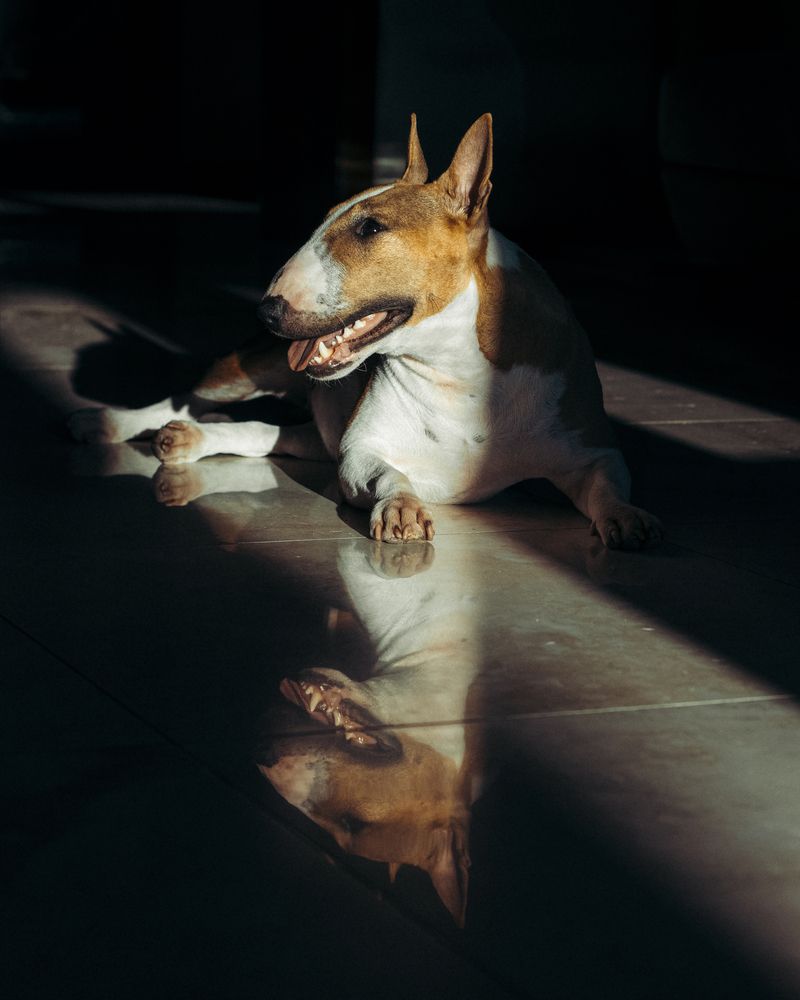 Photograph by Victoria Mogulyan