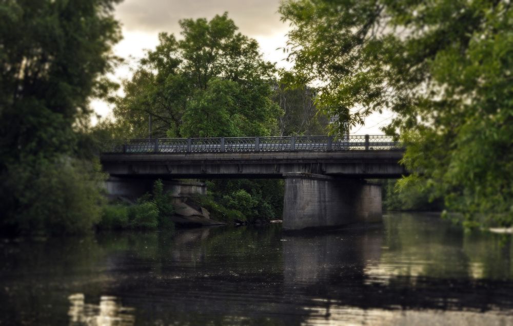 Фотография автора Елена Ли