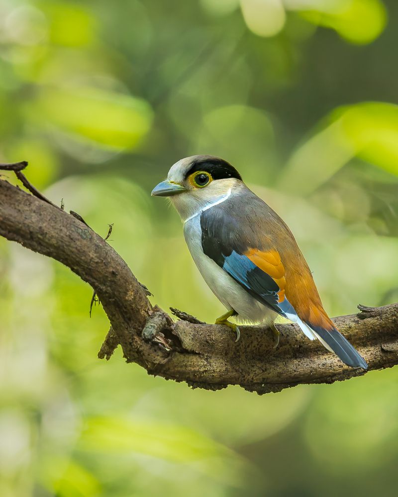 Photograph by Sandeep Shroff