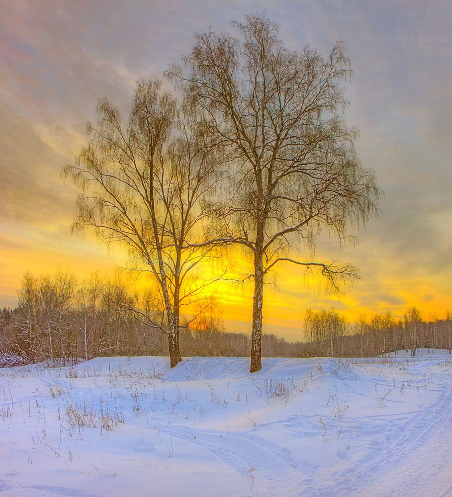 Photograph by Юрий Спасенников