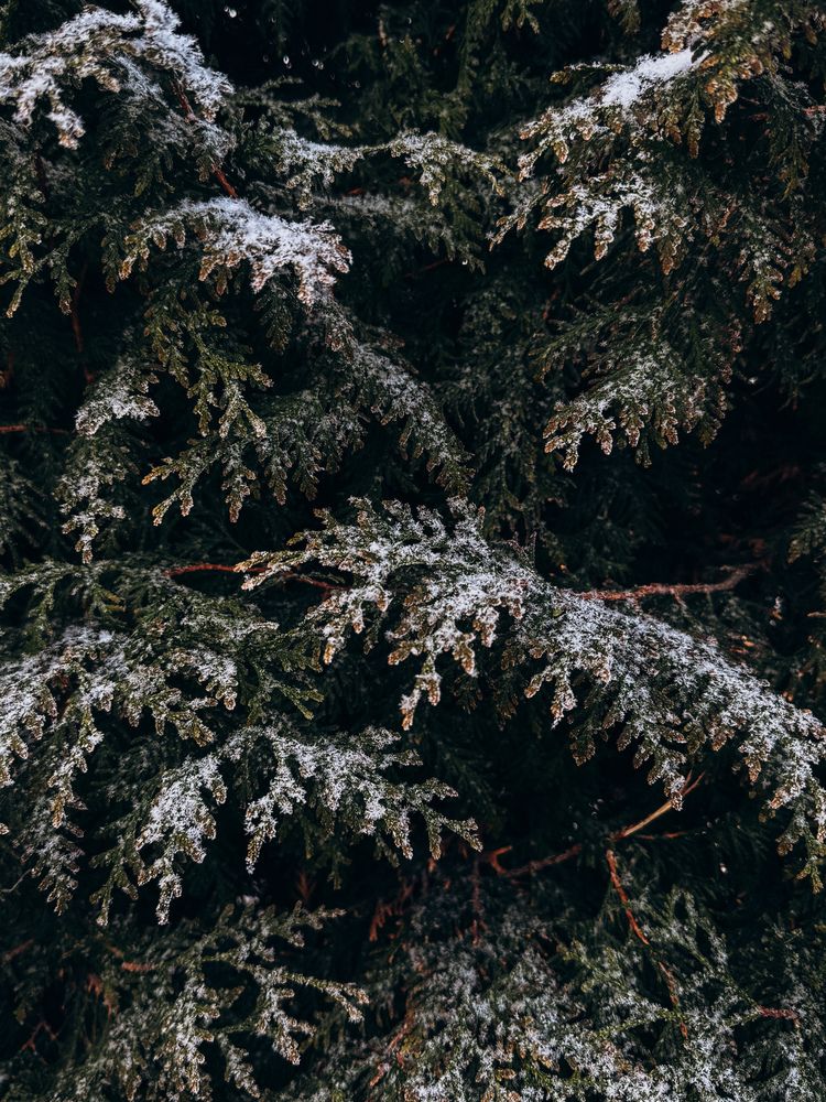 Photograph by Александра Кишикова
