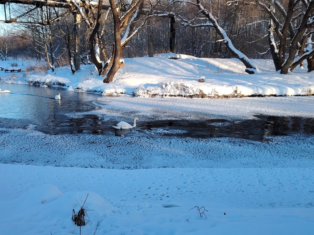 Фотография автора Мария