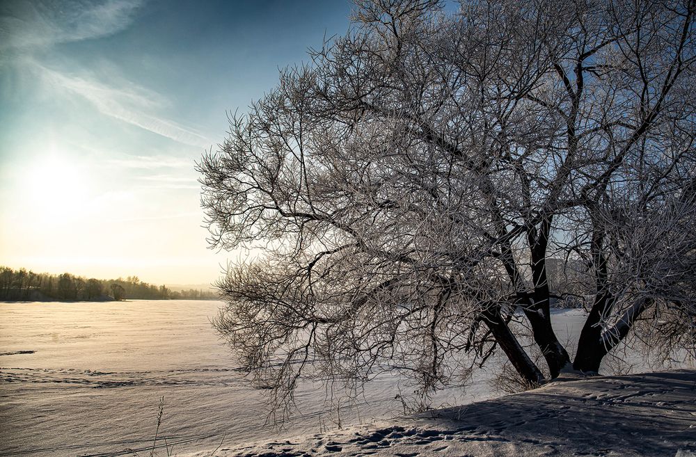 Photograph by Волынский Виктор