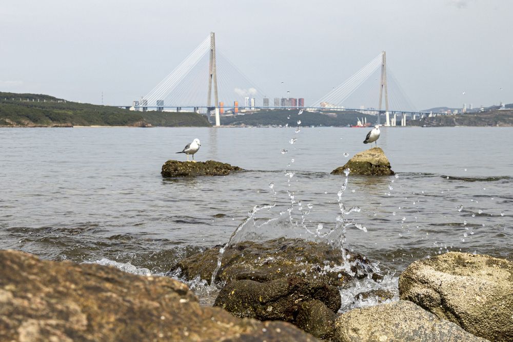 Photograph by Sergey Tsubanov