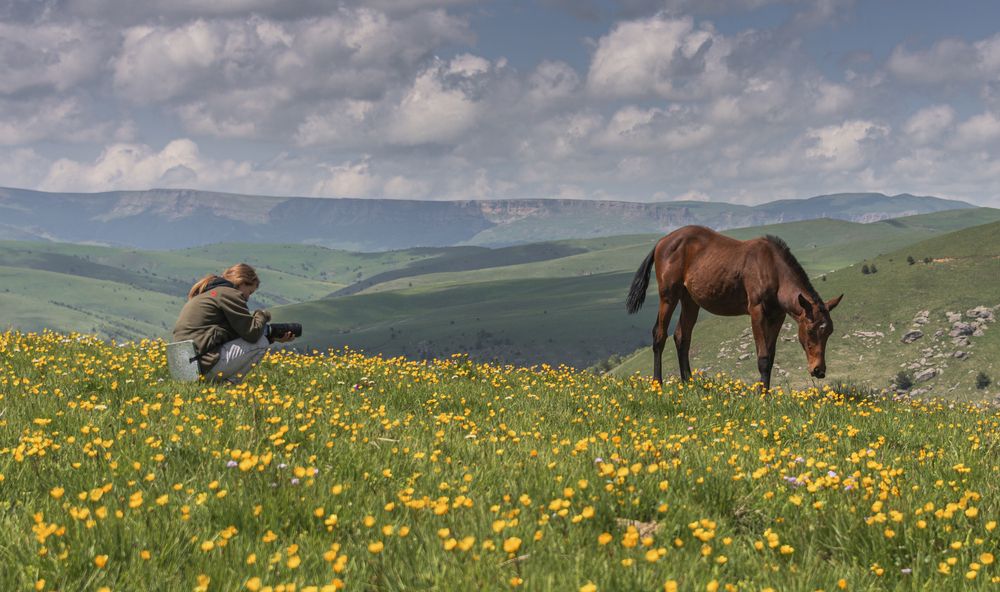 Photograph by ПУЗЕНКО ДМИТРИЙ