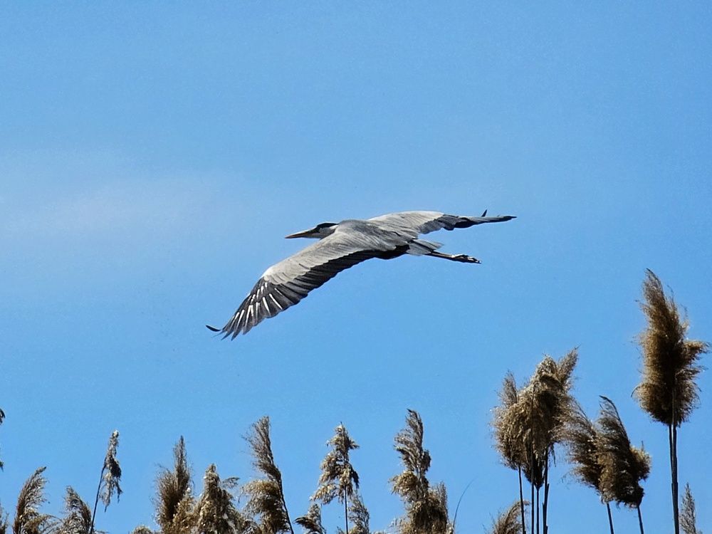 Photograph by Алексей Новиков