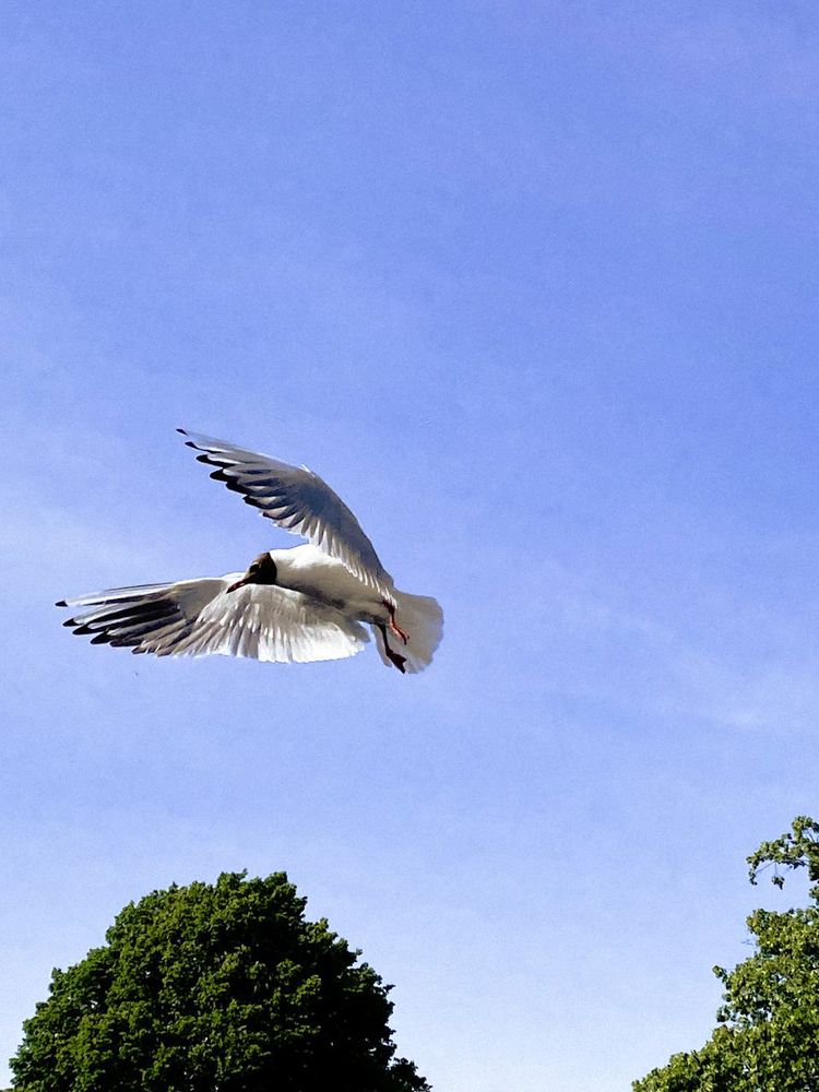 Photograph by Анастасия Гульванюк