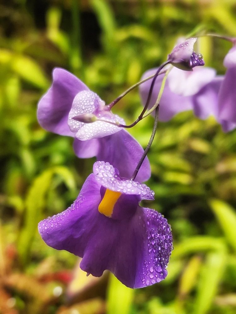 Photograph by Илья