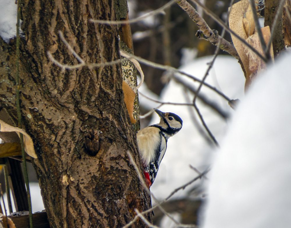 Photograph by Цветков Сергей