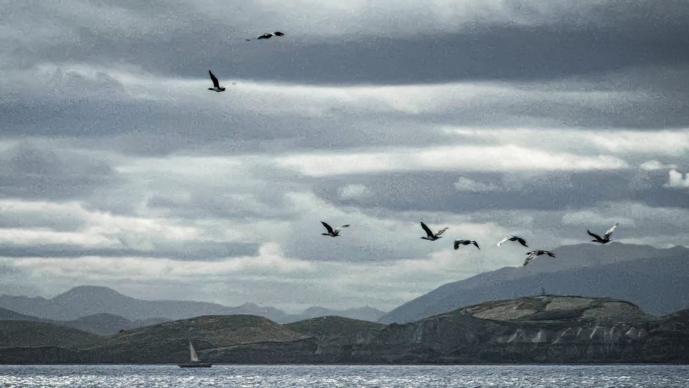 По следам Магеллана