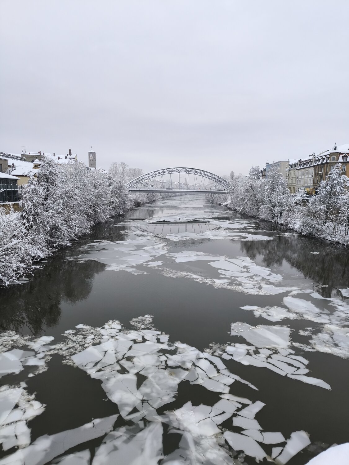Photo #13223441
