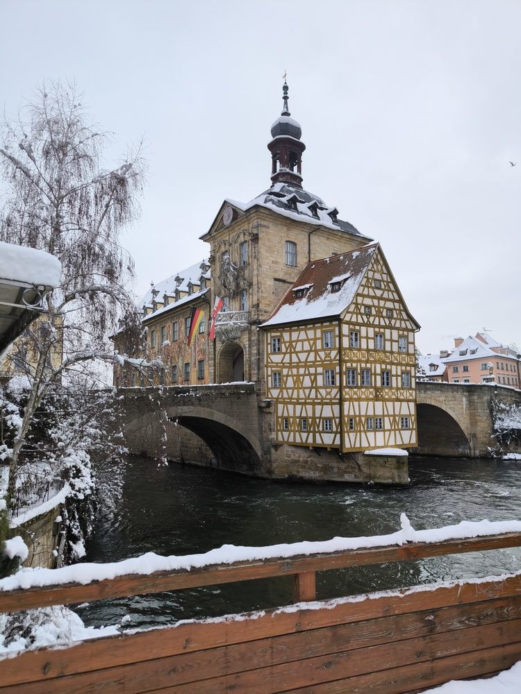 Photo #13223442