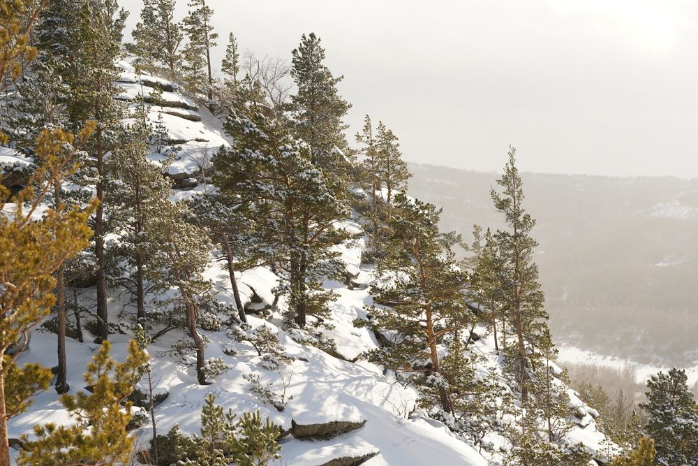 Photograph by Ольга Новикова