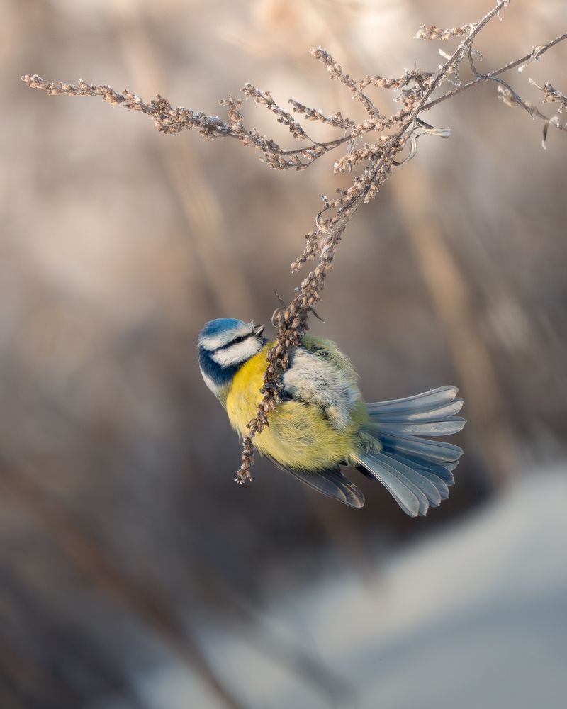 Photograph by Мозжухин Максим