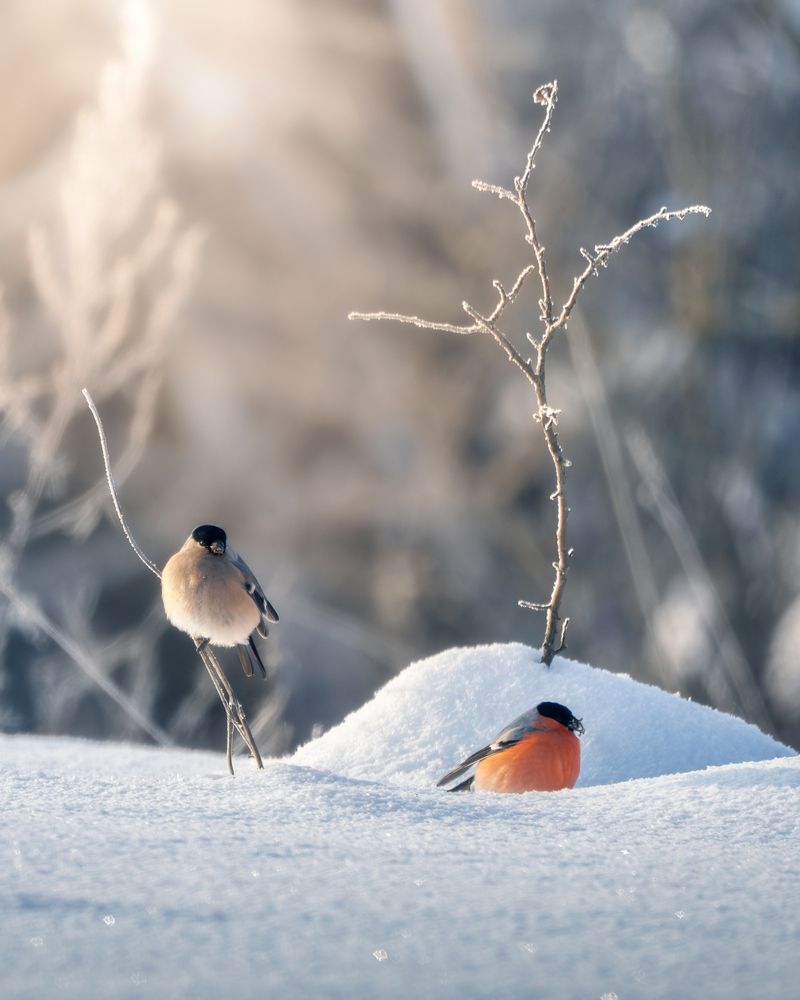 Photograph by Мозжухин Максим