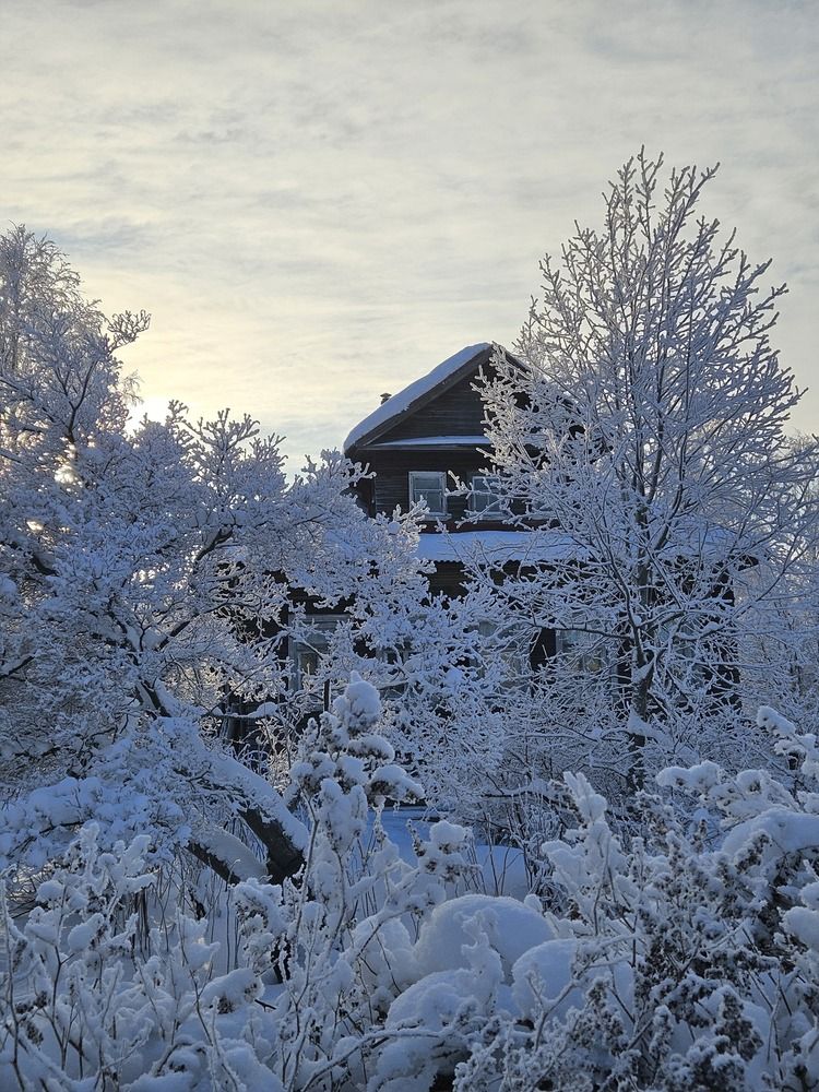 Photograph by Elena Kostochkina