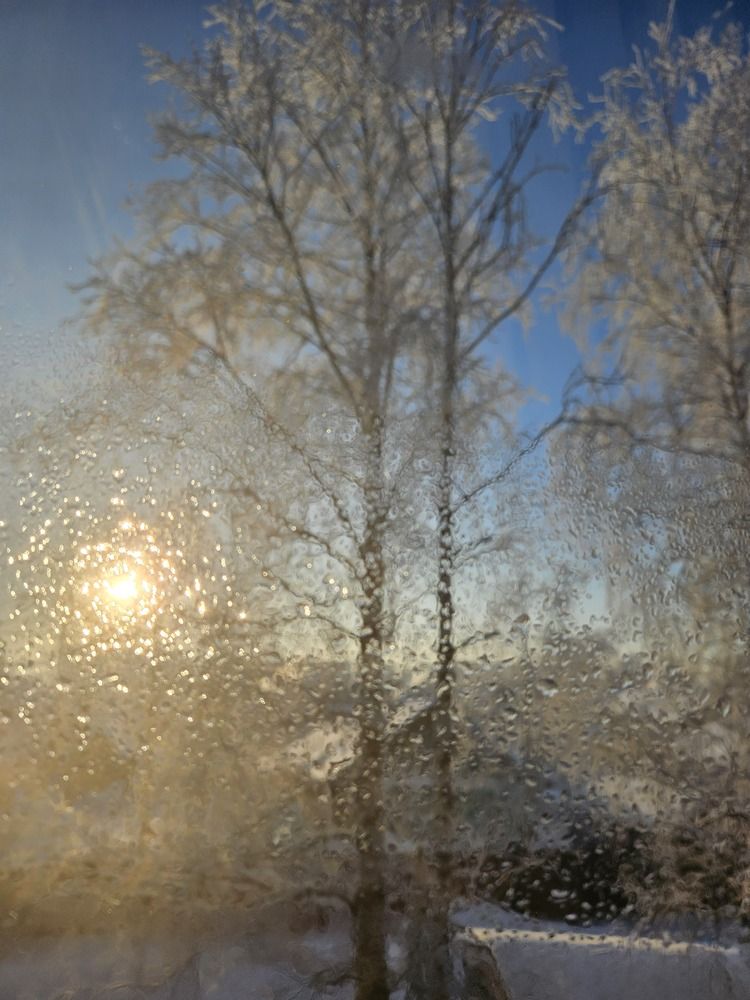 Photograph by Elena Kostochkina