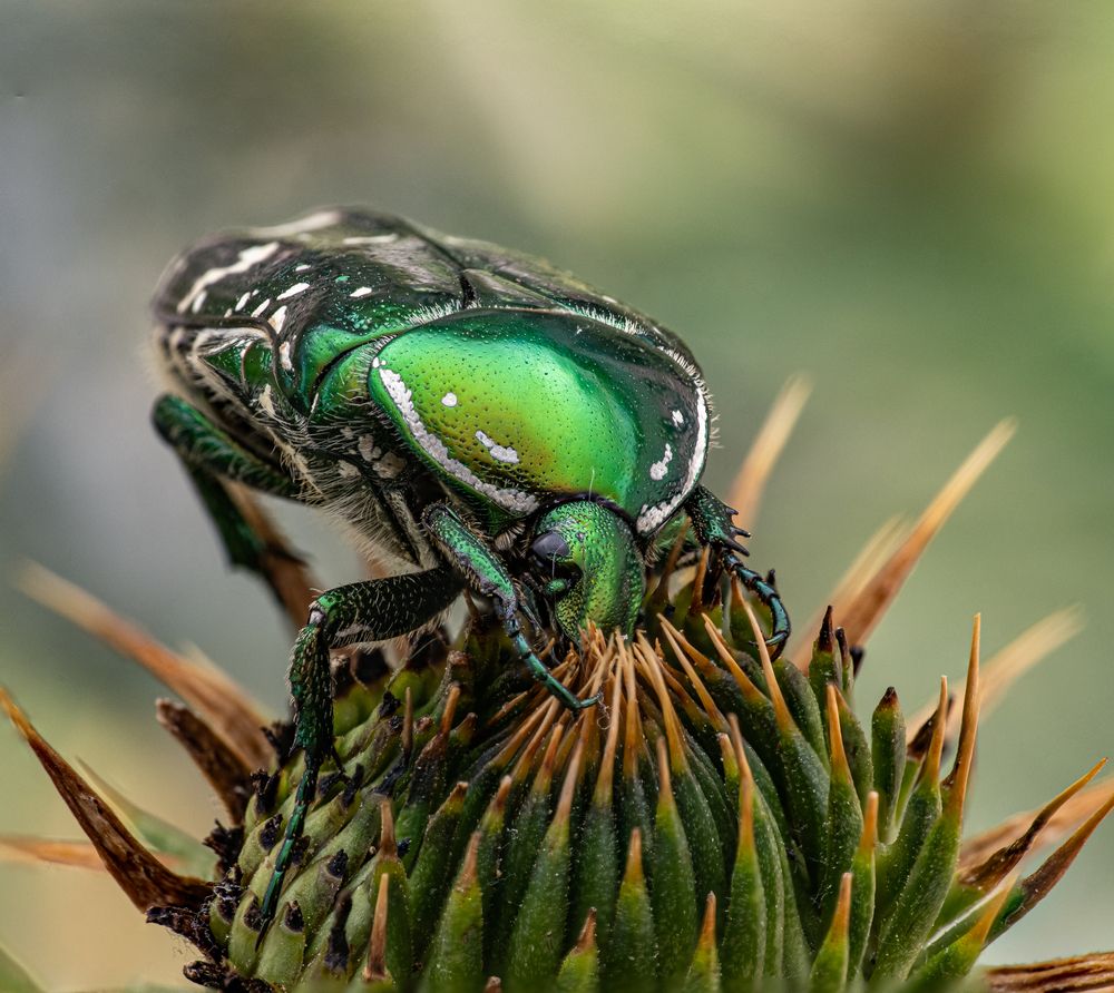 Photograph by Yevgeniy Shushunov