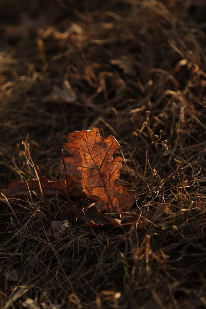 Photograph by Полина Ишкина
