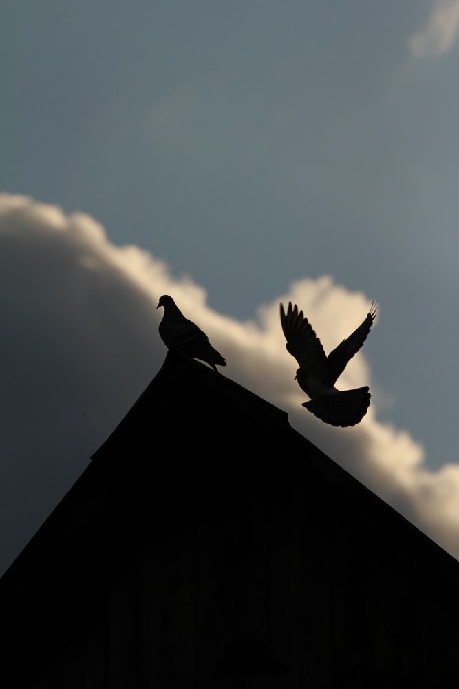 Photograph by Полина Ишкина