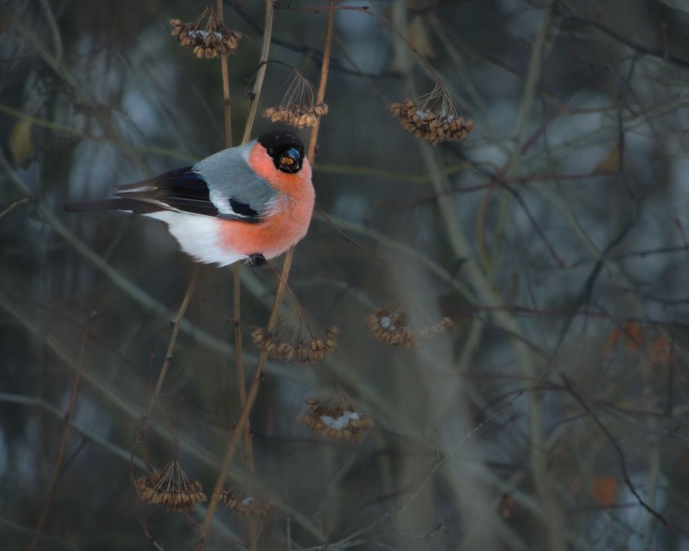 Photograph by Наталья Балабанова